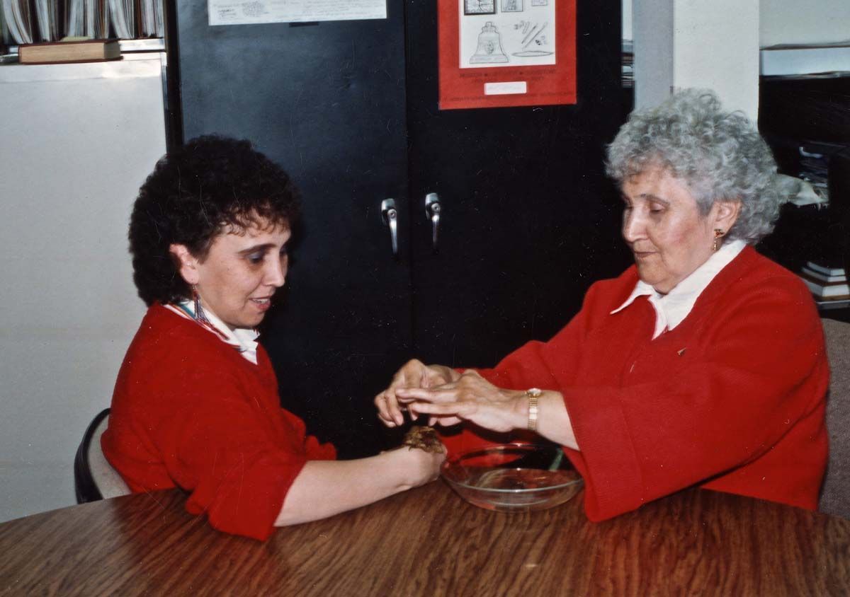 Using a salmonberry poultice