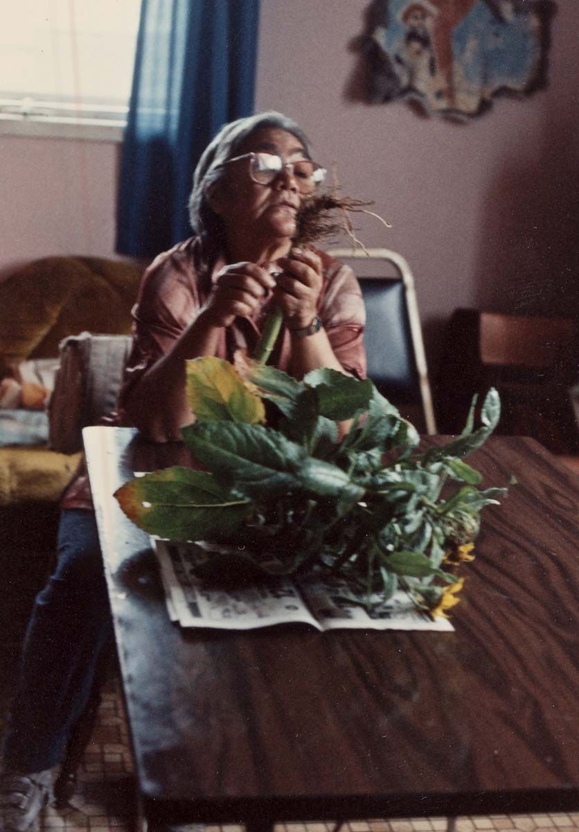 Woman with beach fleabane